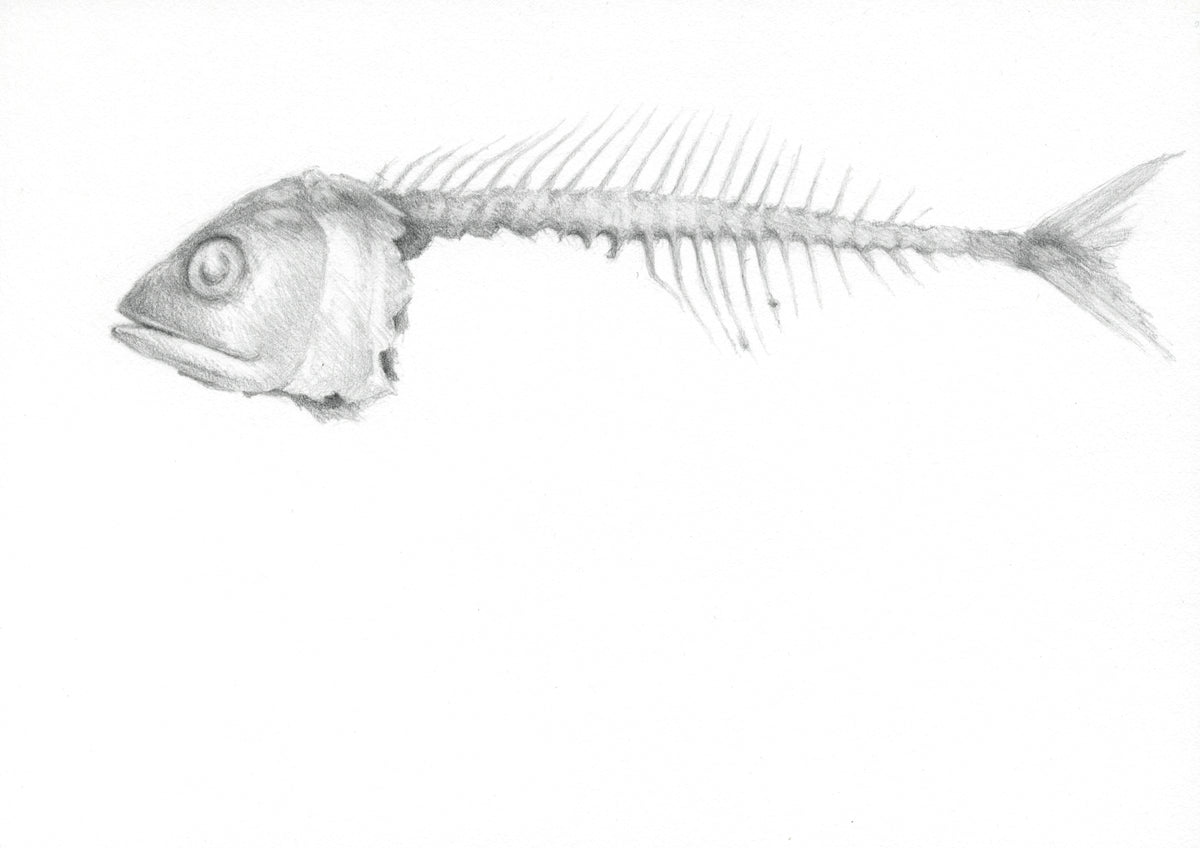 FISH, PAST TENSE Dana L. Wiley GALLERY